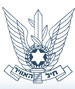 חיל האוויר